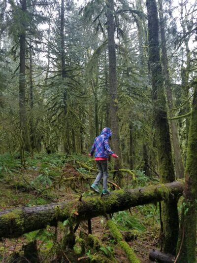 Maple Falls Park - Maple Falls, WA