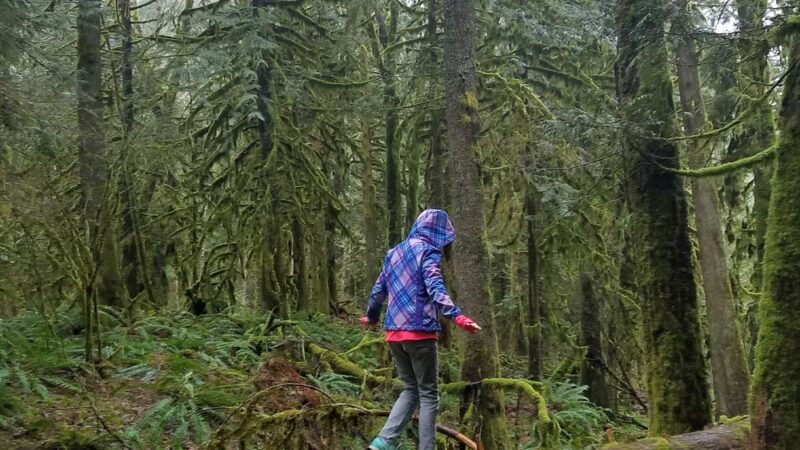 Maple Falls Park - Maple Falls, WA