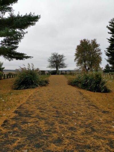 Mount Saint Joseph Conference and Retreat Center - Maple Mount, KY