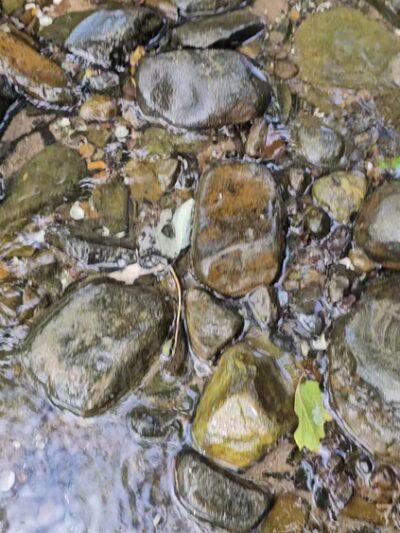 Mapleton Riverside Park - Mapleton, PA
