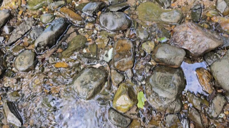 Mapleton Riverside Park - Mapleton, PA