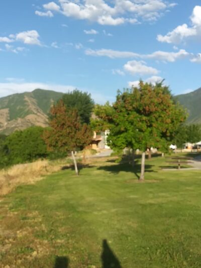 Clyde Park - Mapleton, UT