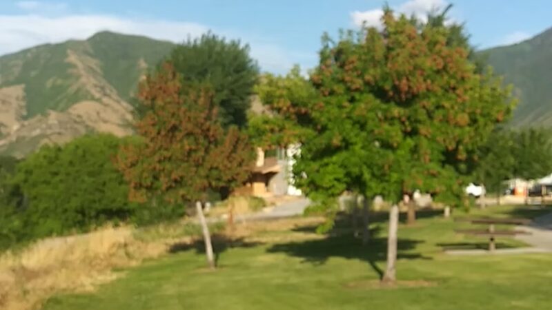 Clyde Park - Mapleton, UT