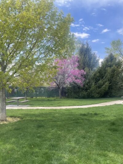 Clyde Park - Mapleton, UT