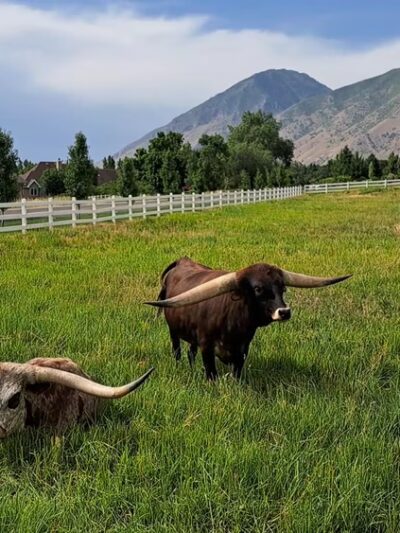 Mapleton Walking Path - Mapleton, UT