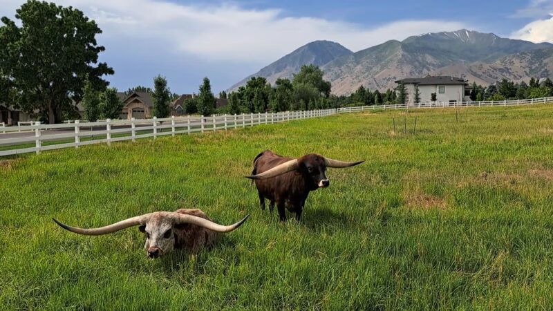 Mapleton Walking Path - Mapleton, UT