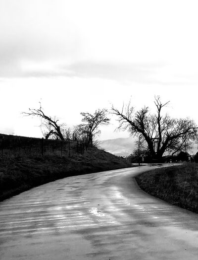 Mapleton Walking Path - Mapleton, UT