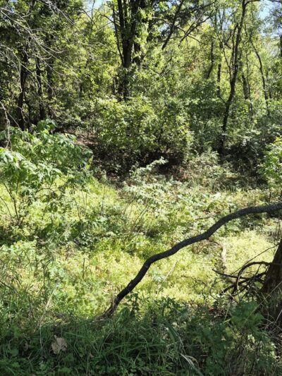 Gateway Trail Head (Parking) - Maplewood, MN