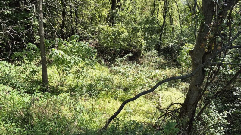 Gateway Trail Head (Parking) - Maplewood, MN