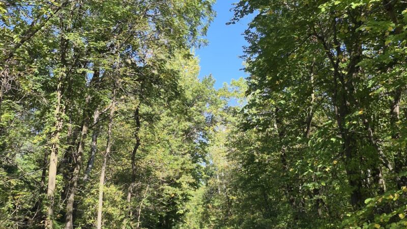 Gateway Trail Head (Parking) - Maplewood, MN