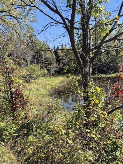 Gateway Trail Head (Parking) - Maplewood, MN