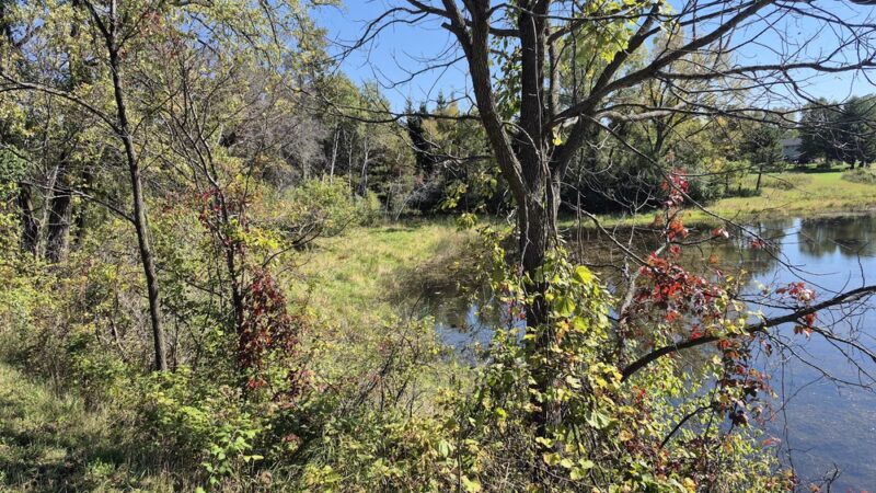 Gateway Trail Head (Parking) - Maplewood, MN