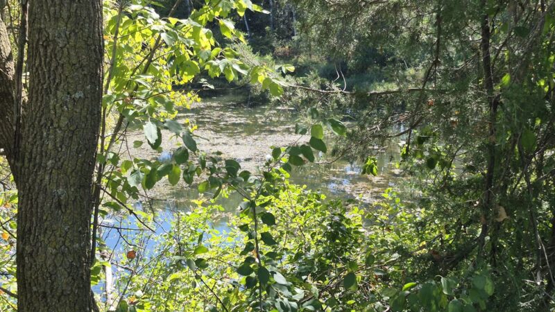 Gateway Trail Head (Parking) - Maplewood, MN
