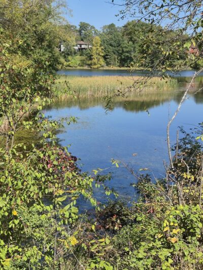 Gateway Trail Head (Parking) - Maplewood, MN