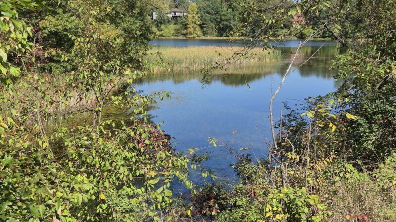Gateway Trail Head (Parking) - Maplewood, MN