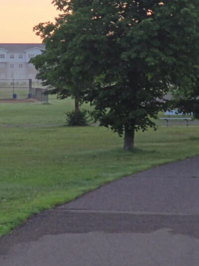 Harvest Park - Maplewood, MN