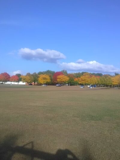 Harvest Park - Maplewood, MN