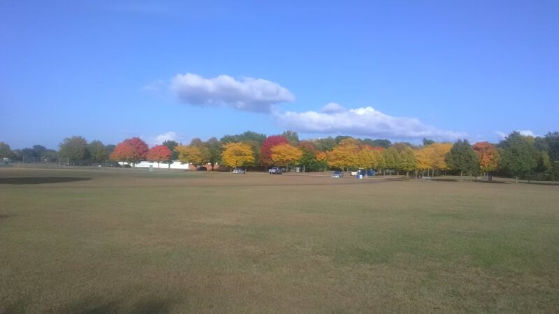 Harvest Park - Maplewood, MN