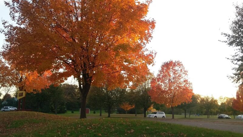 Harvest Park - Maplewood, MN