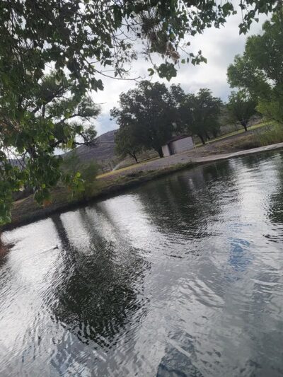 Post Park - Marathon, TX