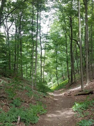Baltimore Woods Nature Center - Marcellus, NY