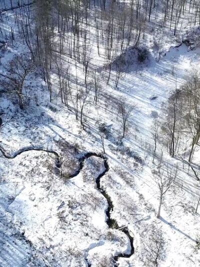 Baltimore Woods Nature Center - Marcellus, NY