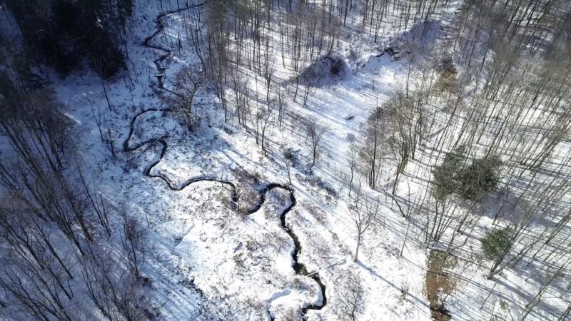 Baltimore Woods Nature Center - Marcellus, NY