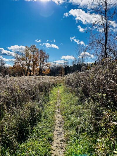 Baltimore Woods Nature Center - Marcellus, NY