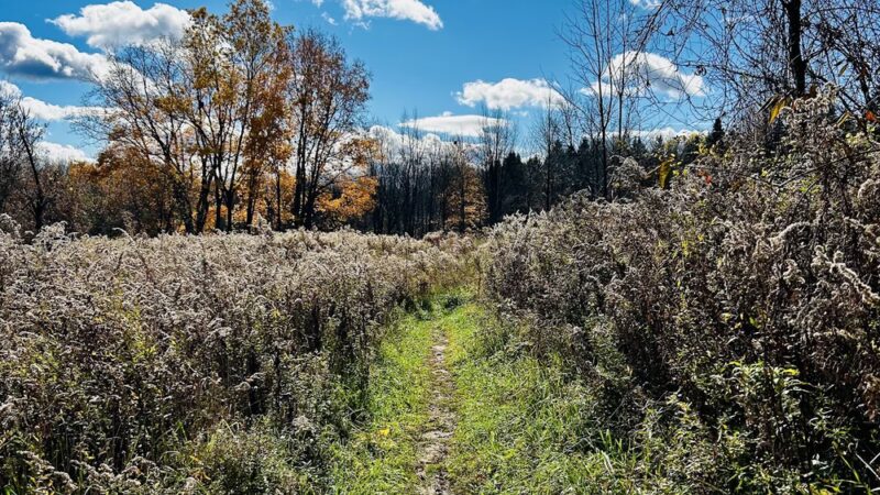 Baltimore Woods Nature Center - Marcellus, NY