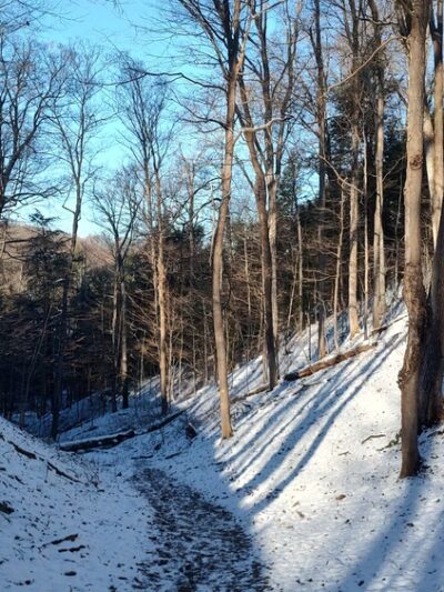 Baltimore Woods Nature Center - Marcellus, NY