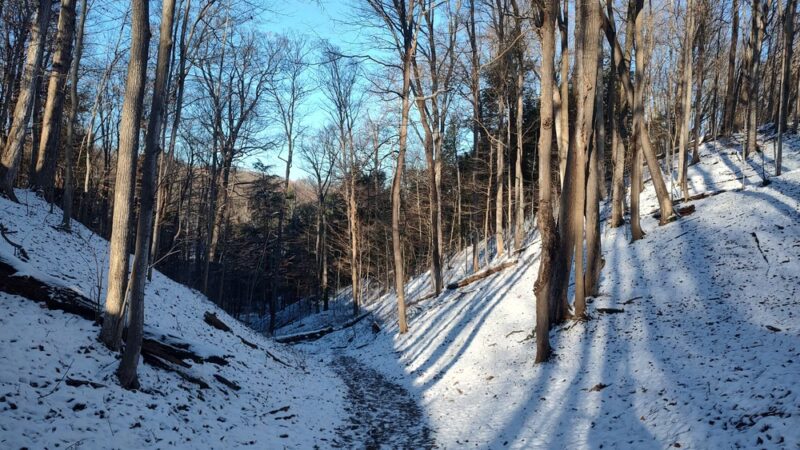 Baltimore Woods Nature Center - Marcellus, NY