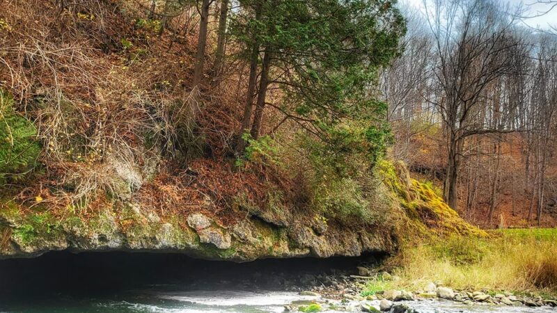 Nine Mile Creek Fishing Access At MARCELLUS FALLS - Marcellus, NY