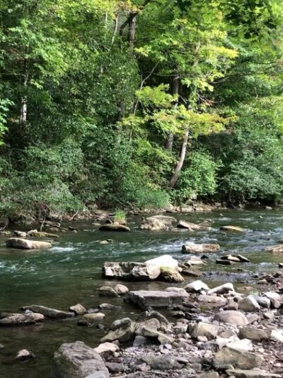 Nine Mile Creek Fishing Access At MARCELLUS FALLS - Marcellus, NY