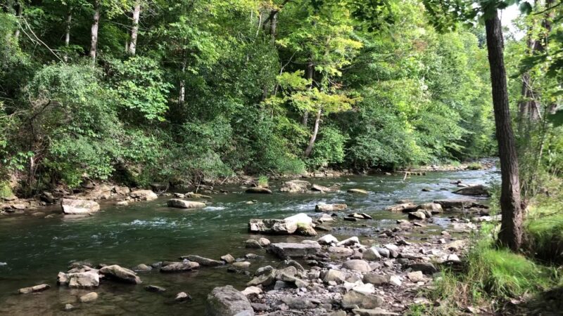 Nine Mile Creek Fishing Access At MARCELLUS FALLS - Marcellus, NY