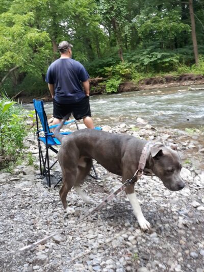 Nine Mile Creek Fishing Access At MARCELLUS FALLS - Marcellus, NY