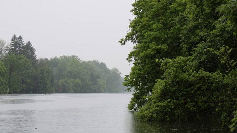 Canal Trail - Marcy, NY