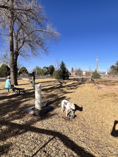 Marfa Dog Park - Marfa, TX