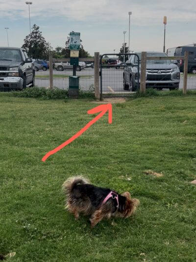 TA Dog Park - Marianna, FL