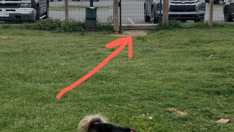 TA Dog Park - Marianna, FL