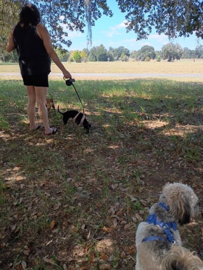 TA Dog Park - Marianna, FL