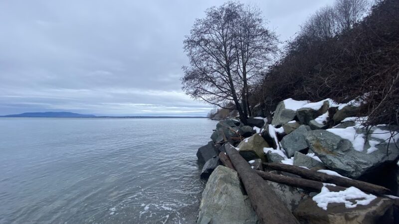 Little Squalicum Off Leash Area - Marietta-Alderwood, WA