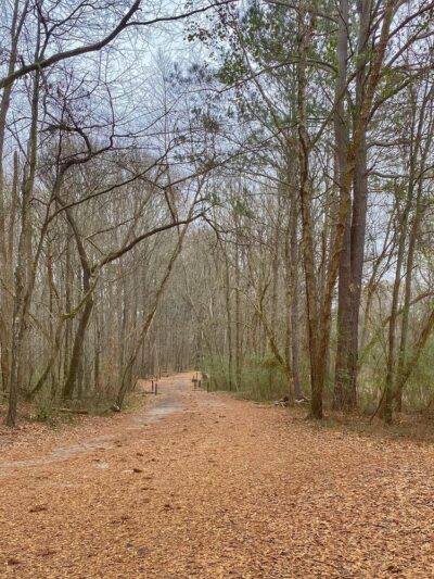 Cochran Shoals Trail - River Loop - Marietta, GA