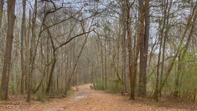 Cochran Shoals Trail - River Loop - Marietta, GA