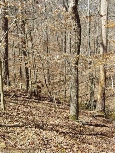 Cochran Shoals Trail - River Loop - Marietta, GA