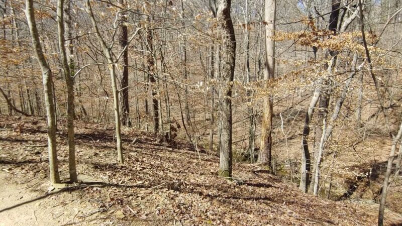 Cochran Shoals Trail - River Loop - Marietta, GA