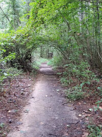 Cochran Shoals Trail - River Loop - Marietta, GA