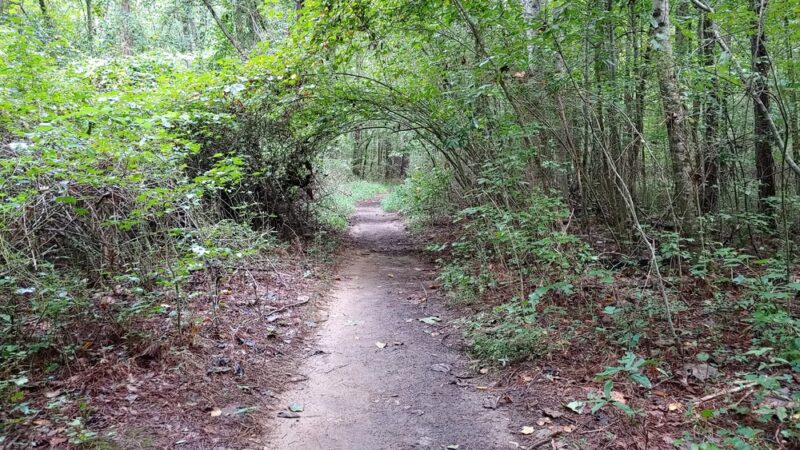 Cochran Shoals Trail - River Loop - Marietta, GA