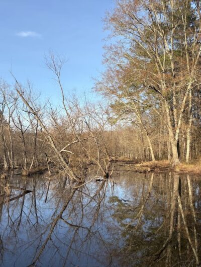 Cochran Shoals Trail - River Loop - Marietta, GA