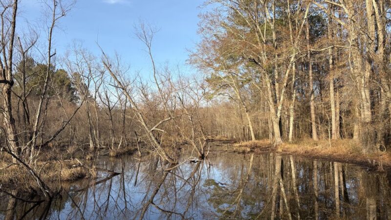 Cochran Shoals Trail - River Loop - Marietta, GA