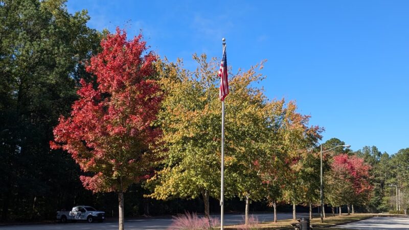 Fullers Park - Marietta, GA